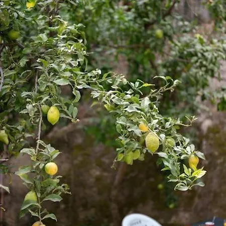 La - Centre - Jardin - Parking Privee - Climatisation Апартаменты Ментона