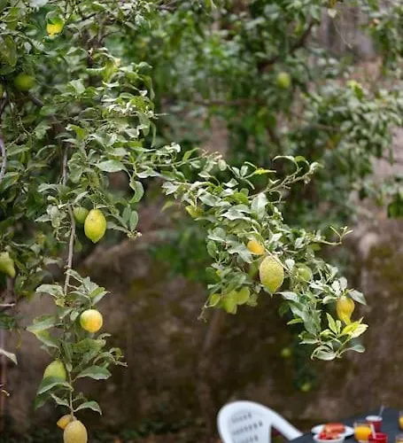 La - Centre - Jardin - Parking Privee - Climatisation Apartmán Menton