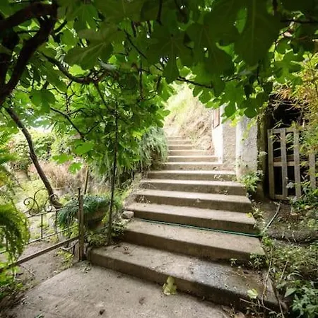 Apartman La - Centre - Jardin - Parking Privee - Climatisation *