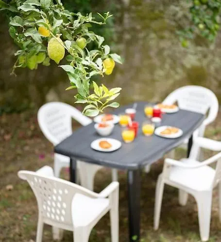 La - Centre - Jardin - Parking Privee - Climatisation דירה מנטון